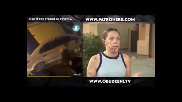 ZWIERZĘTA ZACZYNAJĄ ATAKOWAĆ